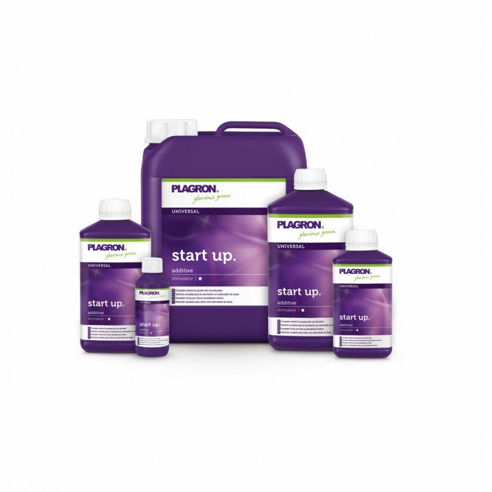 START UP 